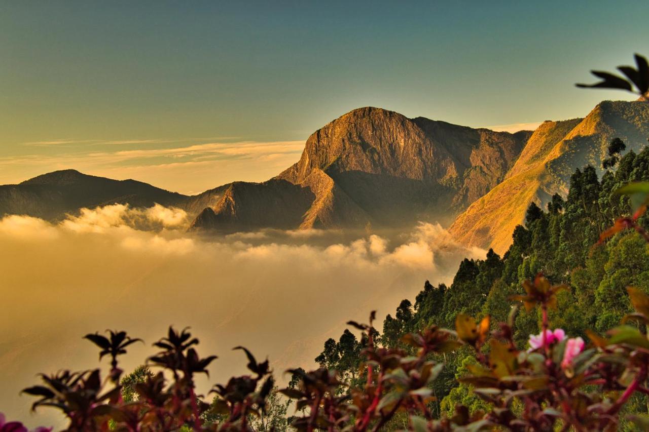 Chandys Drizzle Drops - Munnar Top Station Exterior foto